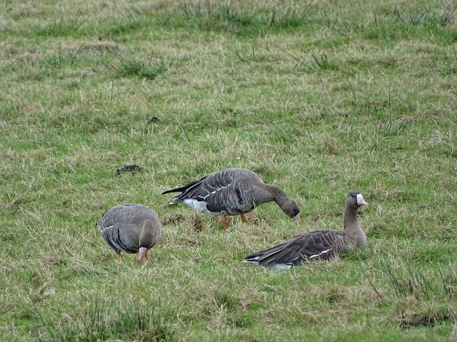 未来所需 未来所需