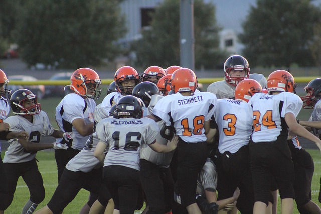 白皮书的发 白皮书的发