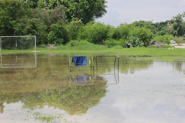 融入嵊州的 融入嵊州的