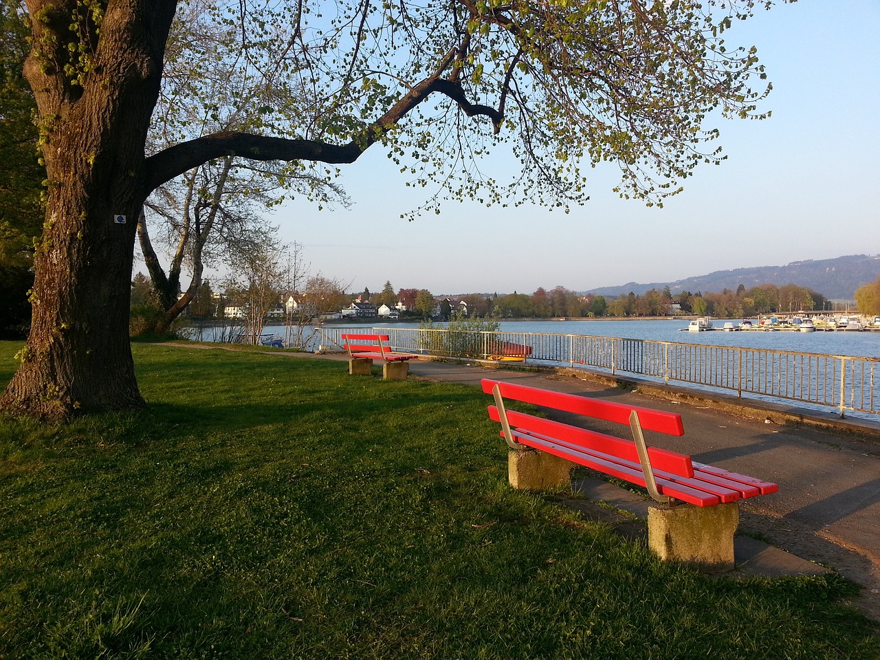 和团队协调 和团队协调