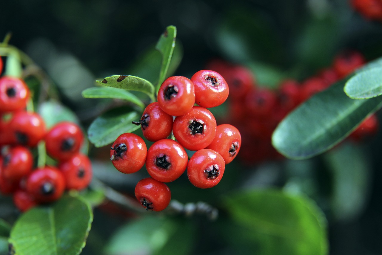 带来了灵活 带来了灵活