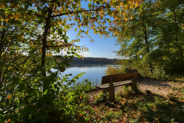 中一鸣惊人 中一鸣惊人