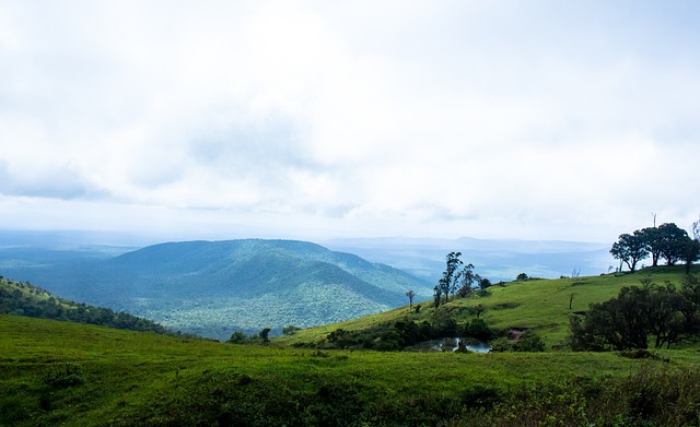 巴黎人报 巴黎人报