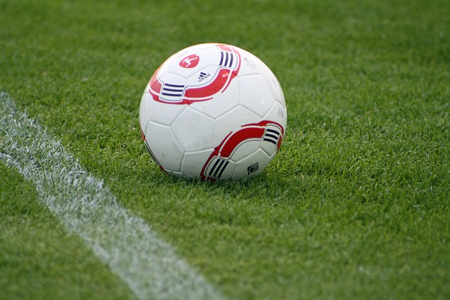 守与团队协 守与团队协