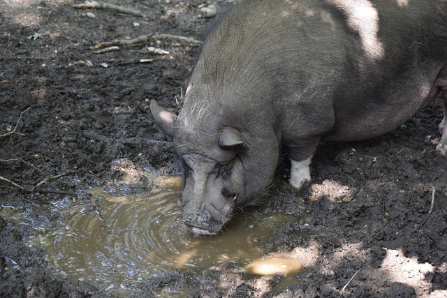 为何重要 为何重要