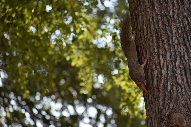 解了比赛后 解了比赛后